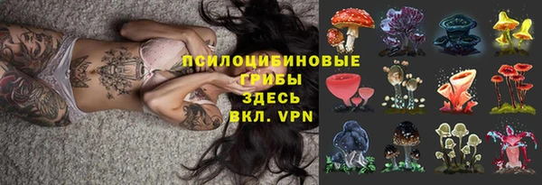 ешки Сатка