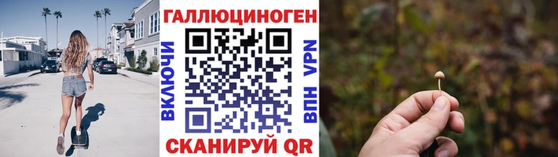 Псилоцибиновые грибы Psilocybe  Кинешма 