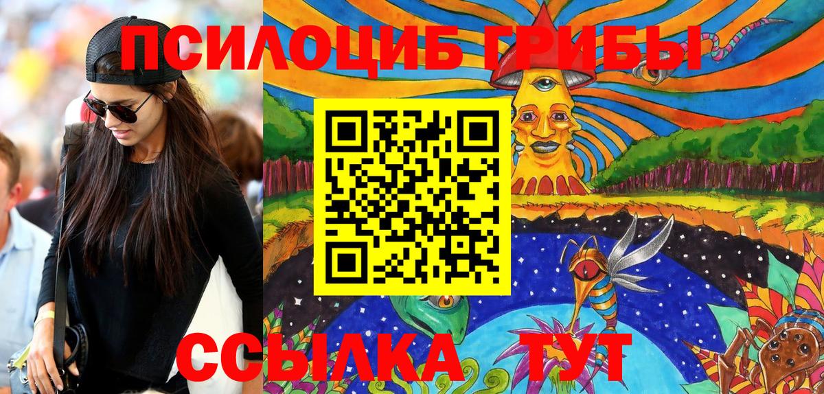 где купить наркотик  Псилоцибиновые грибы мухоморы  Псилоцибиновые грибы ЛСД  Вход с VPN  Кинешма 